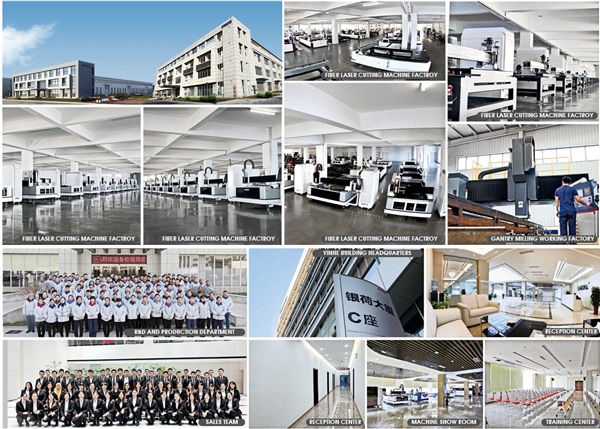 معلومات الشركة